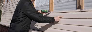 Best Siding Painting and Refinishing  in St Augusta, MN